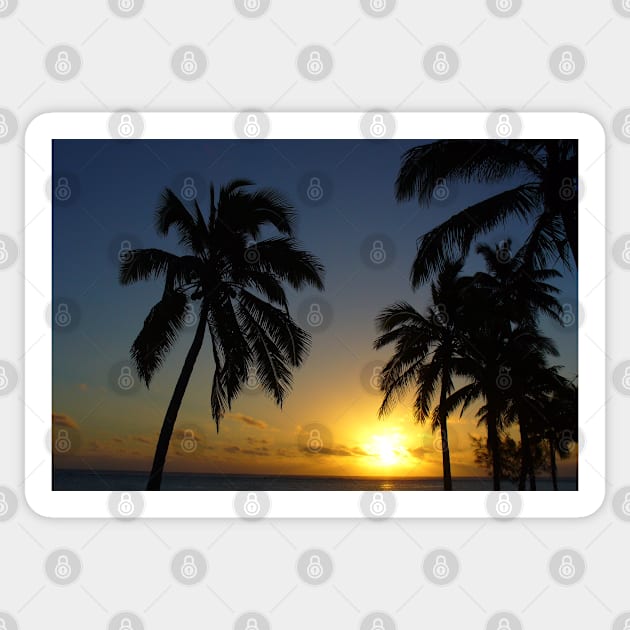 Palm Trees Sunset in Paradise Sticker by KaSaPo